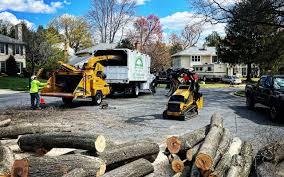 Best Tree Maintenance Programs  in Stanley, WI