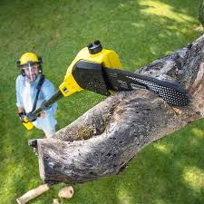 Best Soil Testing and Treatment  in Stanley, WI